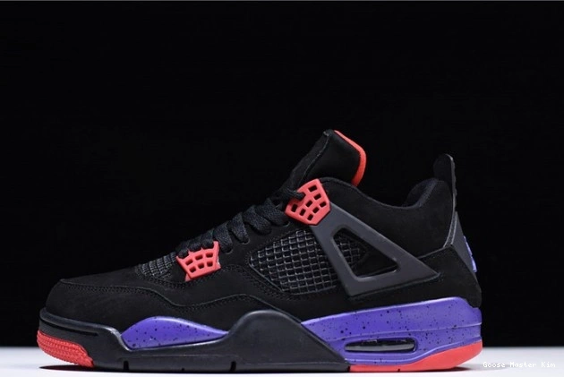 Raptors